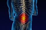 Boline Fenstra Chiropractic