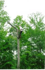 Ocean Pines Stump & Tree Removal 