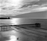 Photography by Jocelyn 