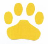 Little Husky Childcare/Preschool