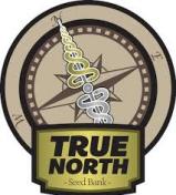True North Credit Union