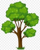 Green Tree Home Renovations
